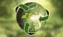 Sustainability: 3 Global Trends in 2020 — Mickey Z.