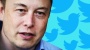 How Elon Musk's Tweets Unleashed A Wave Of Hate | Marianna Spring