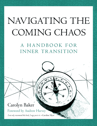 navigating-the-coming-chaos