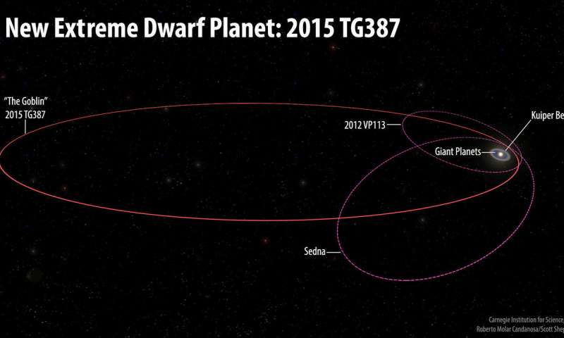 The orbits of the new extreme dwarf planet 2015 TG387 and its fellow Inner Oort Cloud objects 2012 VP113 and Sedna as compared with the rest of the Solar System. 2015 TG387 was nicknamed 'The Goblin' by the discoverers, as its provisional designation contains TG and the object was first seen near Halloween. 2015 TG387 has a larger semi-major axis than either 2012 VP113 or Sedna, which means it travels much further from the Sun at its most distant point in its orbit, which is around 2300 AU. Credit: Roberto Molar Candanosa and Scott Sheppard, courtesy of Carnegie Institution for Science.