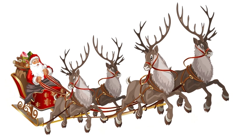 santa claus in sleigh