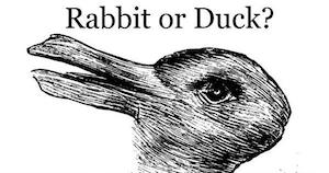 rabbit or duck